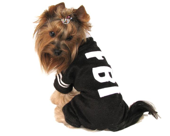 Jak uszyć ubranko dla psa