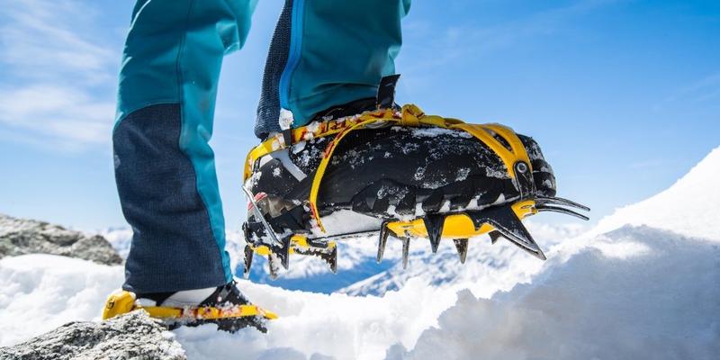 Typy raków i zastosowanie