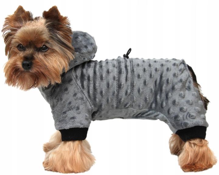 Jak stworzyć idealne ubranko dla psa yorka krok po kroku
