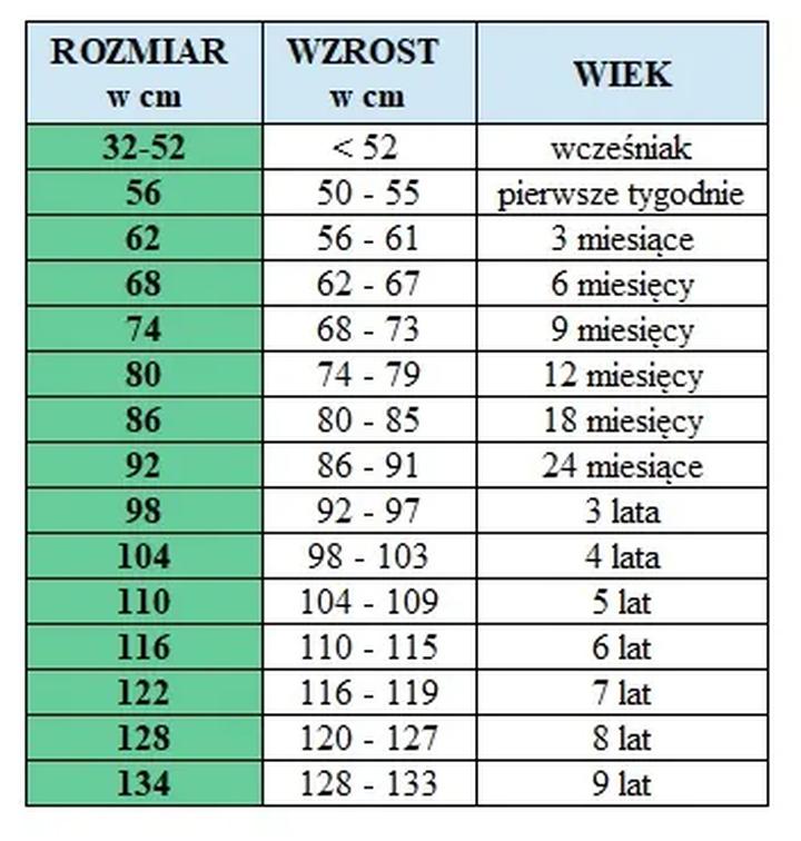 Rozmiar brzuszka w 5 miesiącu ciąży