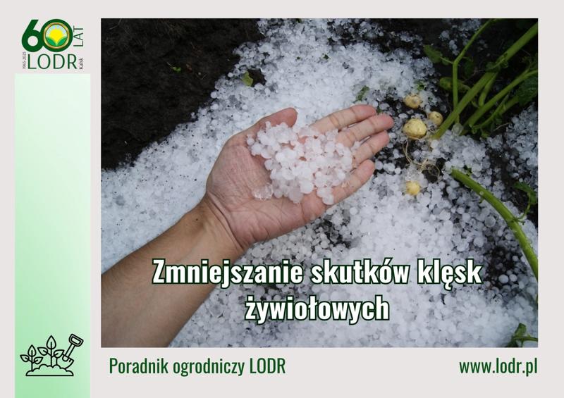 Najlepsze formaty zdjęć do wysyłania